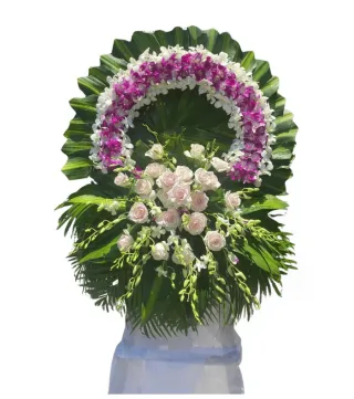 An Tịnh – vòng hoa phân ưu tím hồng