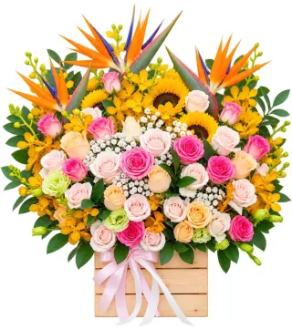 Hương Thân Quen – hộp hoa hồng phấn thiên điểu