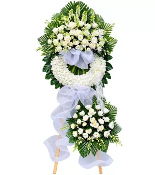 Thương Tiếc – kệ hoa phân ưu trắng xanh · 1300