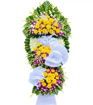 Bình An – kệ hoa phân ưu vàng tím
