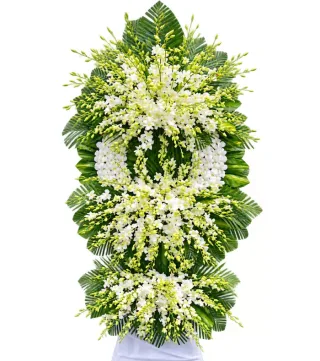 An Nhiên – kệ hoa phân ưu trắng xanh · 1205