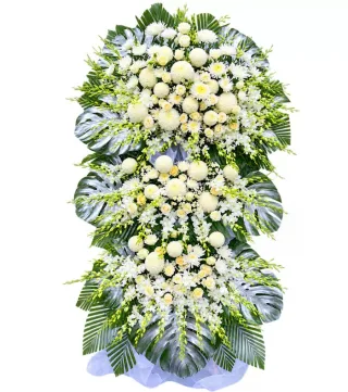 Lặng Yên – kệ hoa phân ưu trắng lá bạc