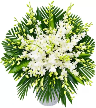 Tưởng Niệm – giỏ hoa phân ưu lan trắng