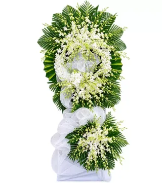 An Tịnh – kệ hoa phân ưu trắng xanh · 1470