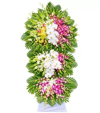 Tâm Thành – kệ hoa phân ưu trắng tím · 1217
