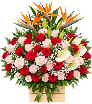 Sắc Ngày Vui – hộp hoa hồng đỏ thiên điểu