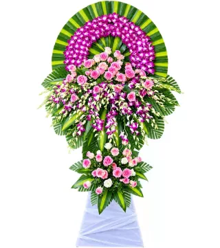 Thương Tiếc – kệ hoa phân ưu tím hồng
