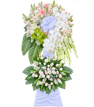 Tiễn Người – kệ hoa phân ưu hồng phấn lan trắng
