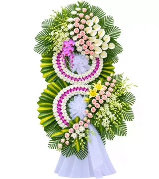 Trầm Lắng – kệ hoa phân ưu hồng phấn tím
