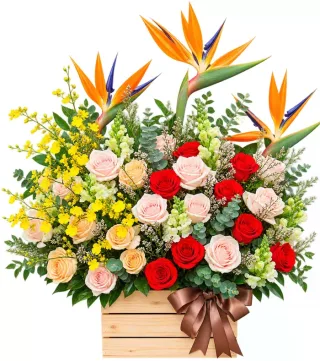 Lời Nhắn Nhỏ – hộp hoa hồng đỏ phấn thiên điểu