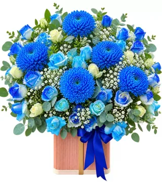 Lời Tri Ân – hoa hộp gam xanh