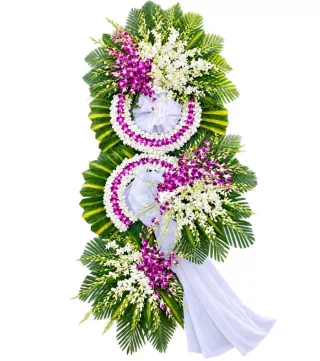 An Nhiên – kệ hoa phân ưu trắng tím