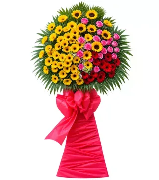 Thịnh Vượng – kệ hoa chúc mừng đồng tiền nhiều màu