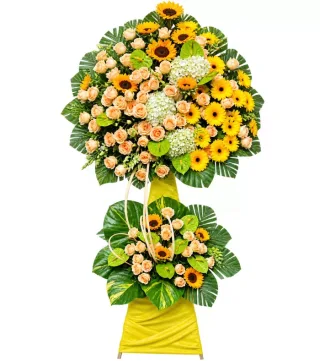 Tấn Phát – kệ hoa chúc mừng hướng dương hồng kem