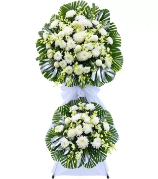 Lời Tiễn Biệt – kệ hoa phân ưu cúc trắng · 1362