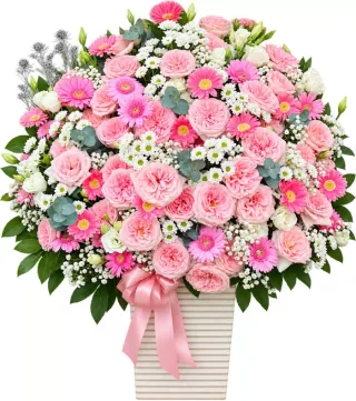 Hương Thân Quen – giỏ hoa hồng phấn cùng đồng tiền
