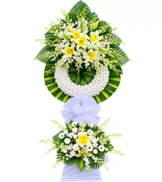 Trầm Lắng – kệ hoa phân ưu ly vàng trắng