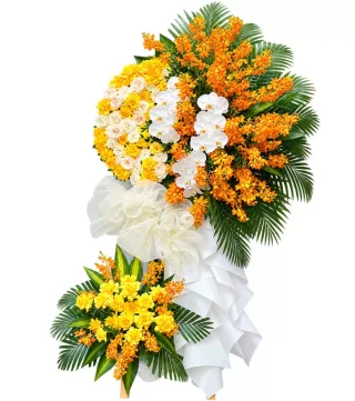 Thanh An – kệ hoa phân ưu vàng cam