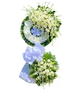 An Tịnh – kệ hoa phân ưu trắng xanh · 0244