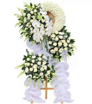Thanh An – kệ hoa phân ưu lan trắng
