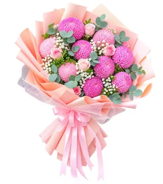 Dịu Ngọt – bó hoa cúc mẫu đơn hồng