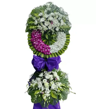 Lời Tiễn Biệt – kệ hoa phân ưu trắng tím · 0259