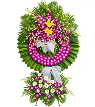 An Tịnh – kệ hoa phân ưu ly vàng tím