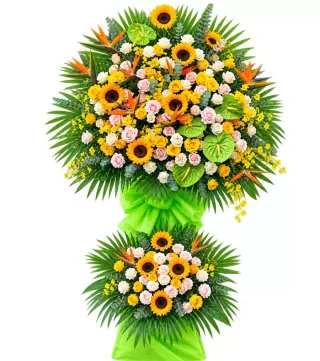 Khai Hỷ – kệ hoa chúc mừng hướng dương hồng phấn
