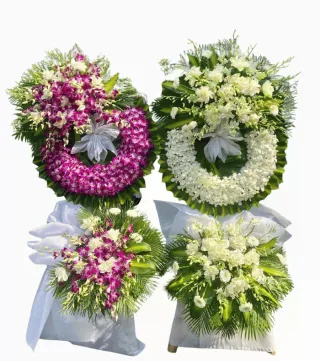 Thương Tiếc – kệ hoa phân ưu tím trắng