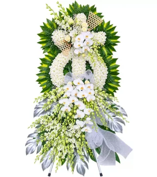 Nghĩa Cũ – kệ hoa phân ưu trắng lá bạc