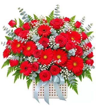 Một Ngày Đẹp – giỏ hoa hồng đỏ cùng đồng tiền