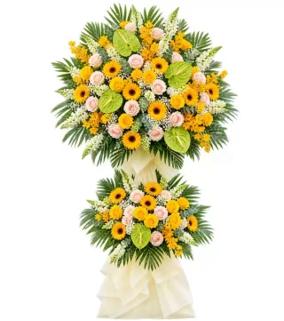 Ngày Mới – kệ hoa chúc mừng hướng dương hồng phấn