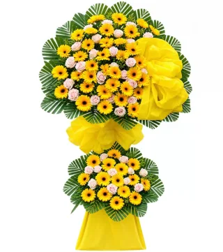 Bước Mới – kệ hoa chúc mừng đồng tiền vàng hồng