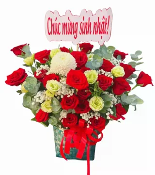 Nắng Ghé Qua – hộp hoa hồng đỏ cùng hồng xanh kem
