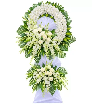 An Tịnh – kệ hoa phân ưu trắng