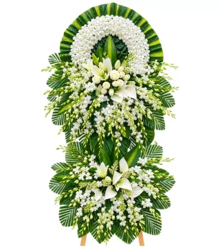 An Nhiên – kệ hoa phân ưu ly trắng