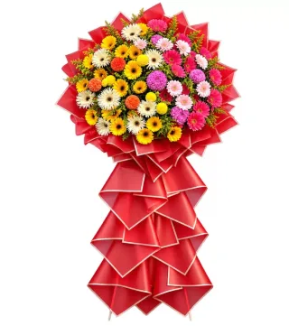 Bừng Sáng – kệ hoa chúc mừng đồng tiền vàng hồng