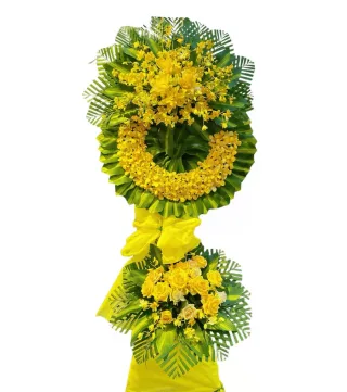 An Nhiên – kệ hoa phân ưu vàng cam