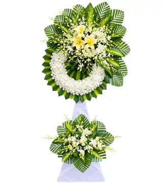 Lặng Yên – kệ hoa phân ưu vàng trắng